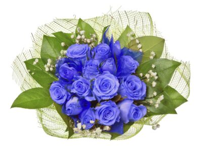 Ramo de 15 Rosas azules