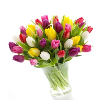 Bouquet with Tulips