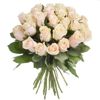 30 white Roses