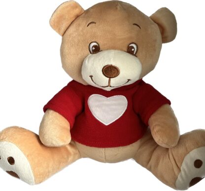 Brown bear in red jersey 20cm
