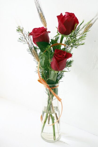 3 Red Roses on Sant Jordi’s day