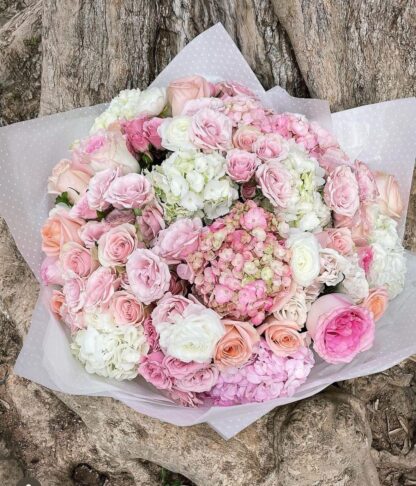 Pinky Blush