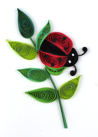 Tarjeta Mini PM021