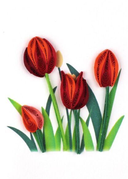 Tarjeta Mini PM029